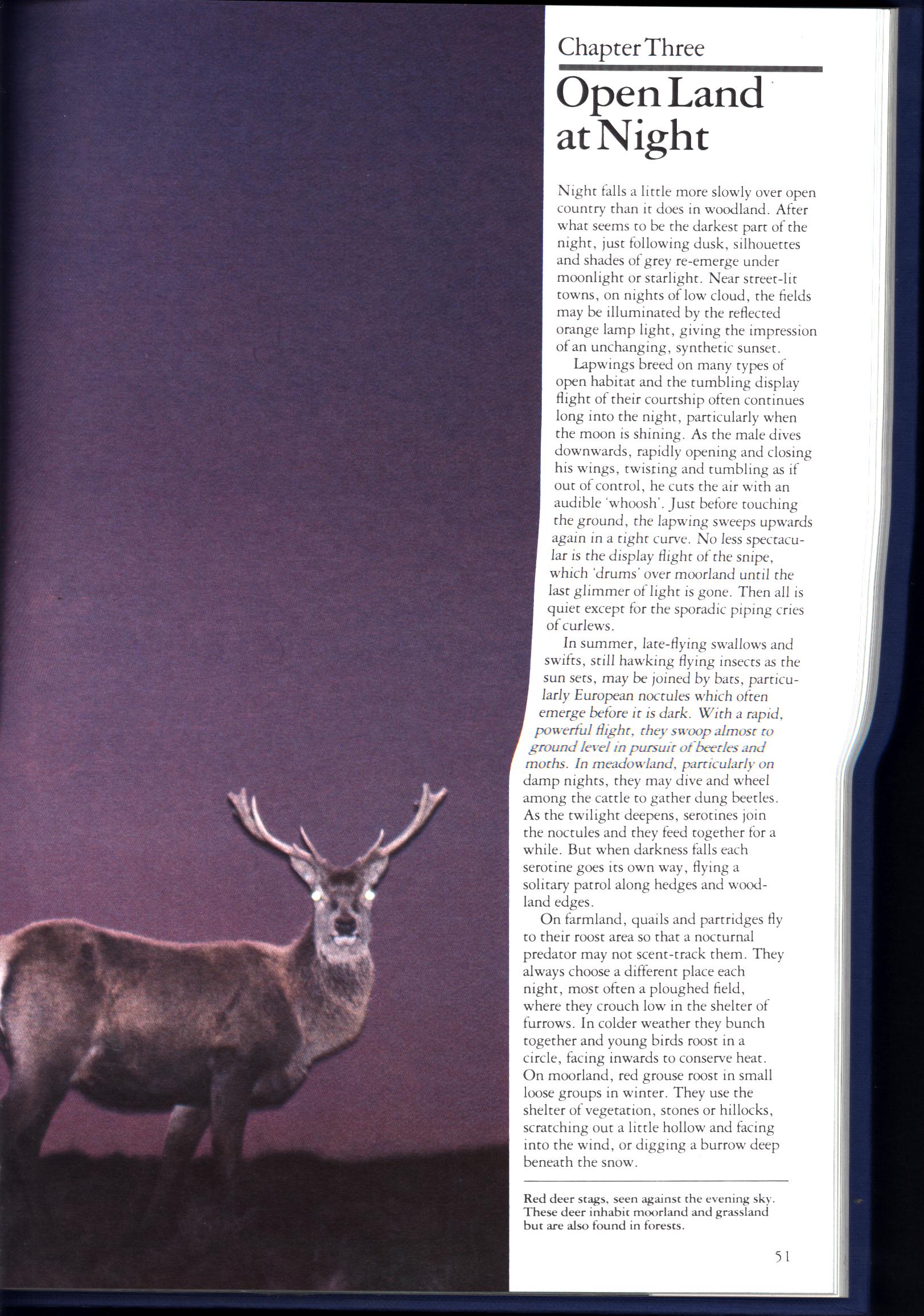 NIGHTWATCH: the natural world from dusk to dawn.faof5346g